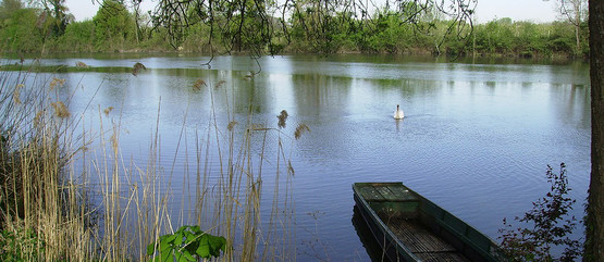 Bords du Loiret à Saint Hilaire Saint Mesmin